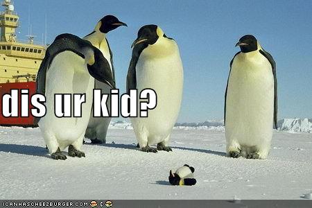 funny-pictures-penguins-wonder-about-their-offspring.jpg